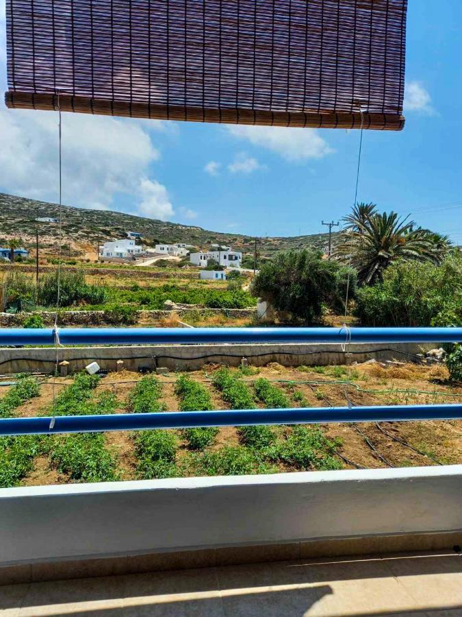 Marianna Studios Donoussa Dış mekan fotoğraf